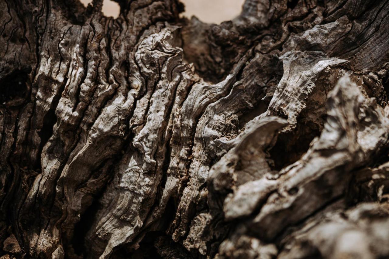 Masseria Garrappa ファザーノ エクステリア 写真