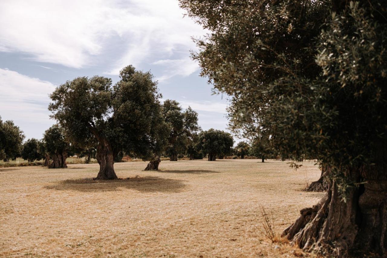 Masseria Garrappa ファザーノ エクステリア 写真