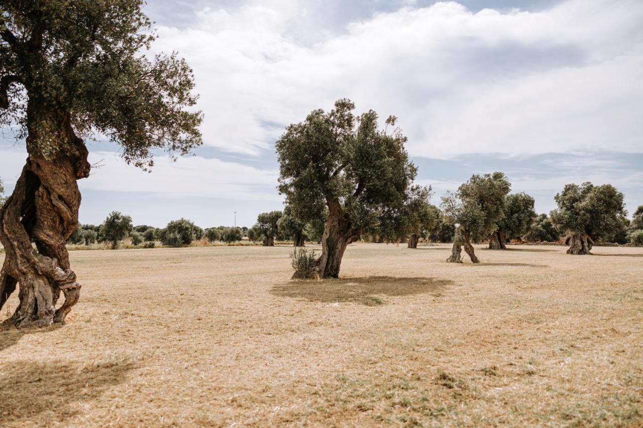 Masseria Garrappa ファザーノ エクステリア 写真