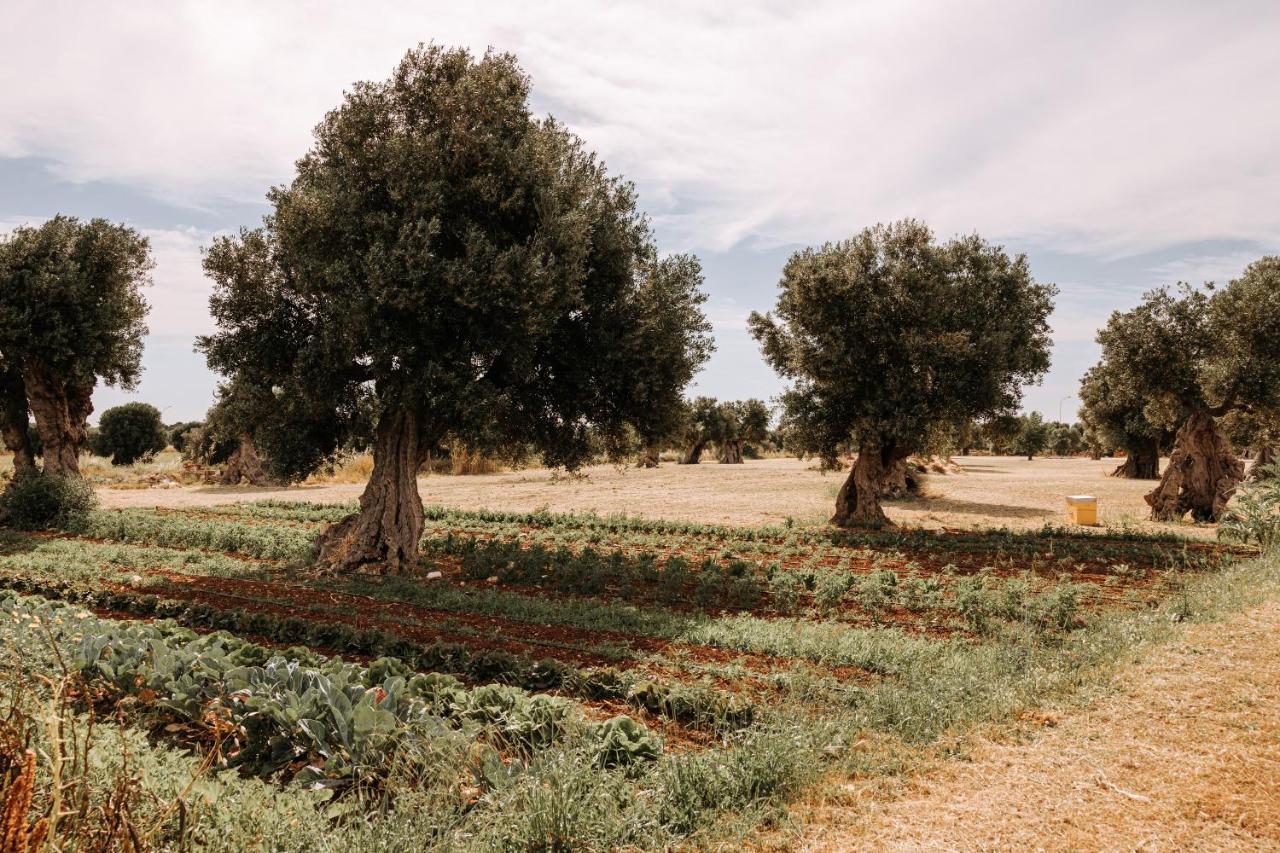 Masseria Garrappa ファザーノ エクステリア 写真